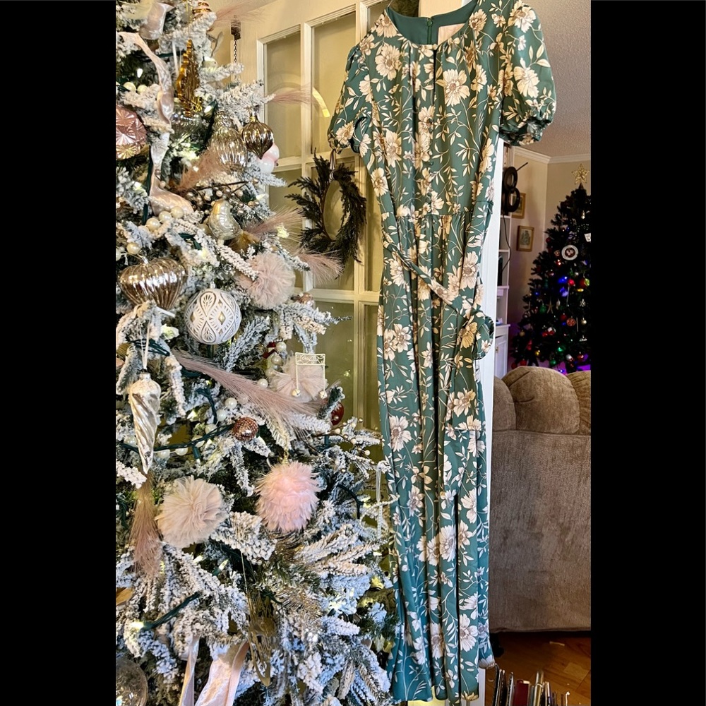 Gal Meets Glam Mint Floral Maxi Dress
